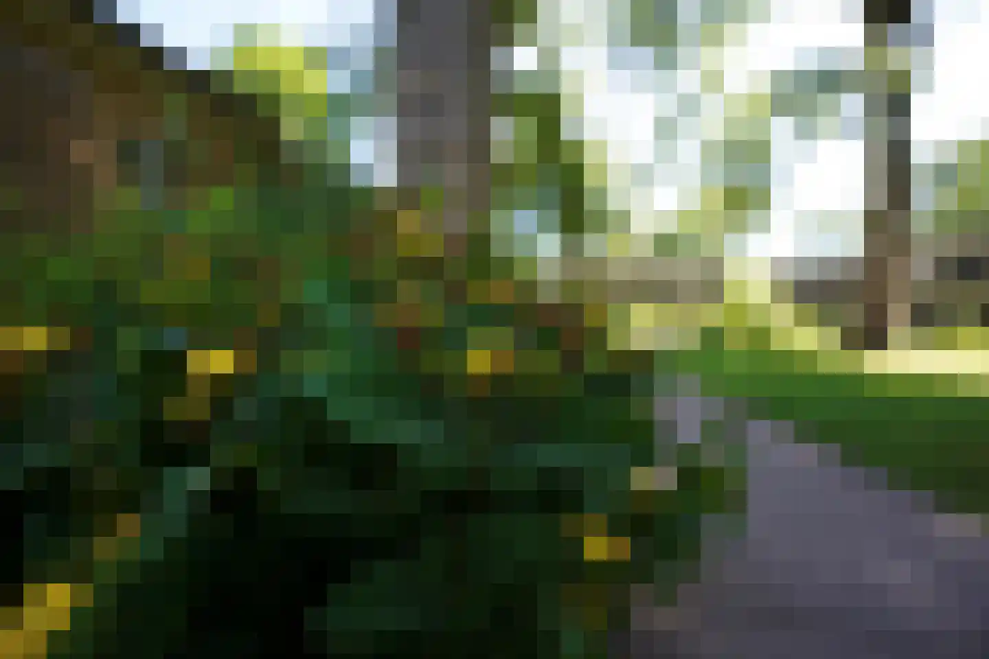 Hooge Riet 60 Ermelo thumbnail 72