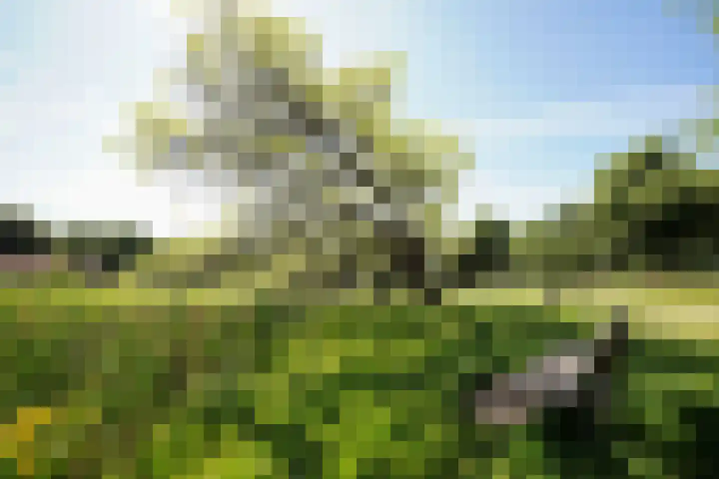 Hooge Riet 60 Ermelo thumbnail 77