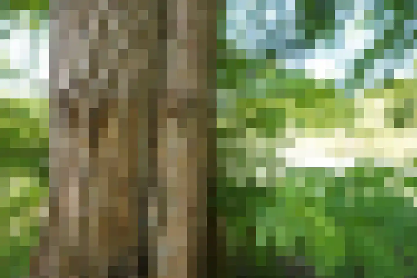 Hooge Riet 60 Ermelo thumbnail 80