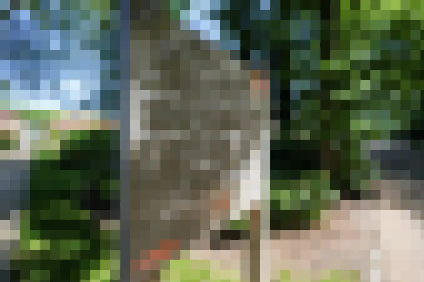 Hooge Riet 60 Ermelo thumbnail 81