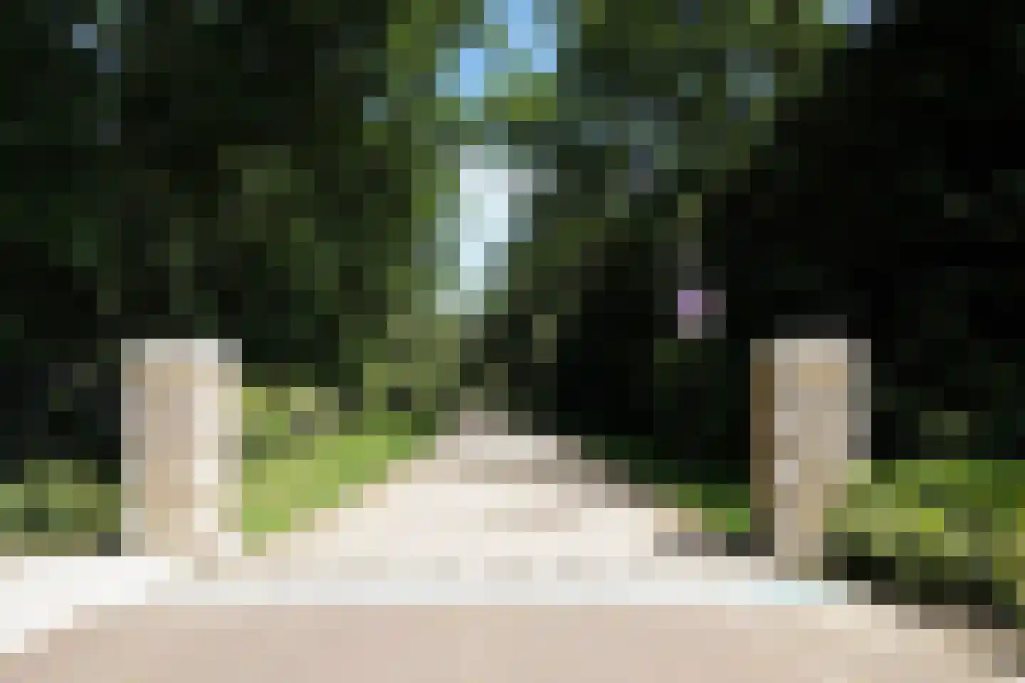Hooge Riet 60 Ermelo thumbnail 85