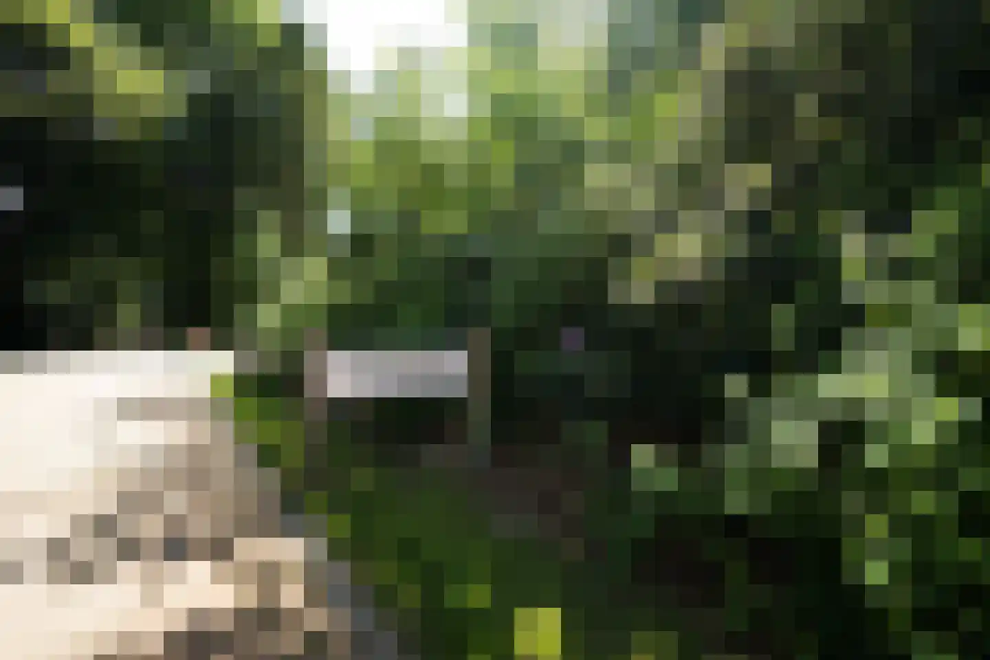 Hooge Riet 60 Ermelo thumbnail 86