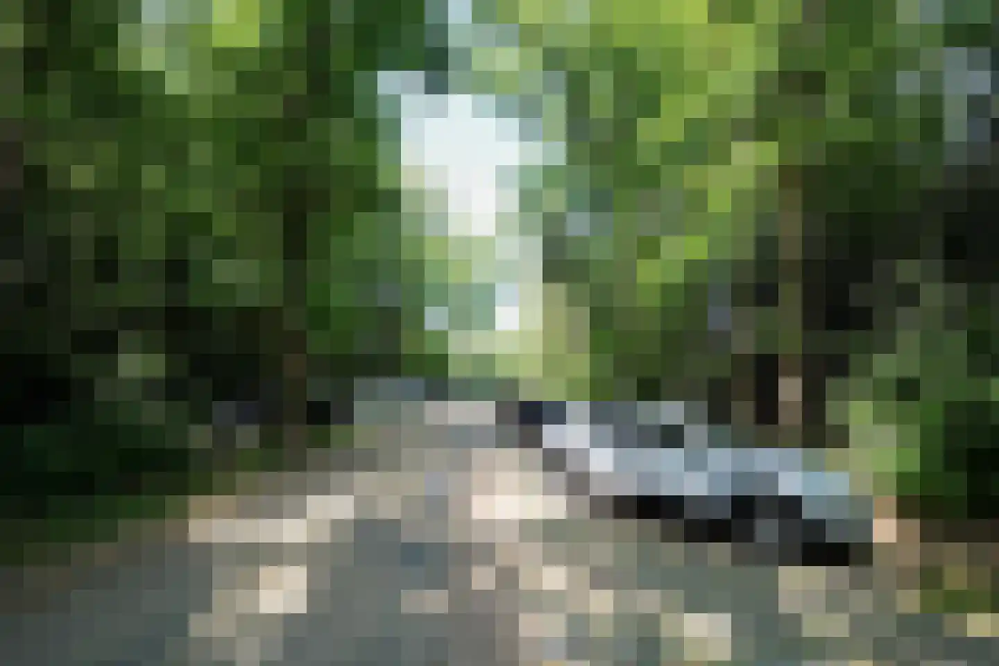Hooge Riet 60 Ermelo thumbnail 87