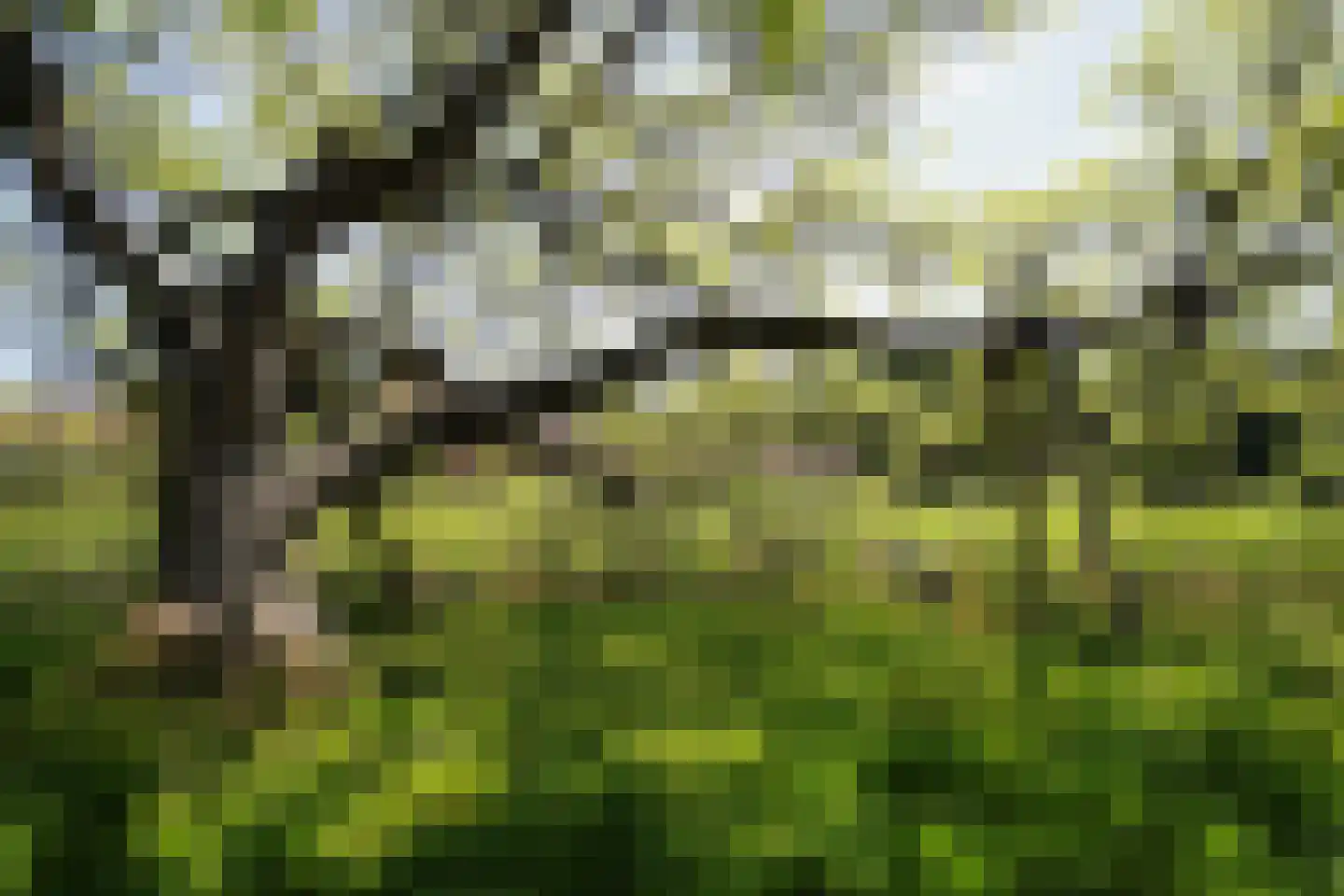 Hooge Riet 60 Ermelo thumbnail 88