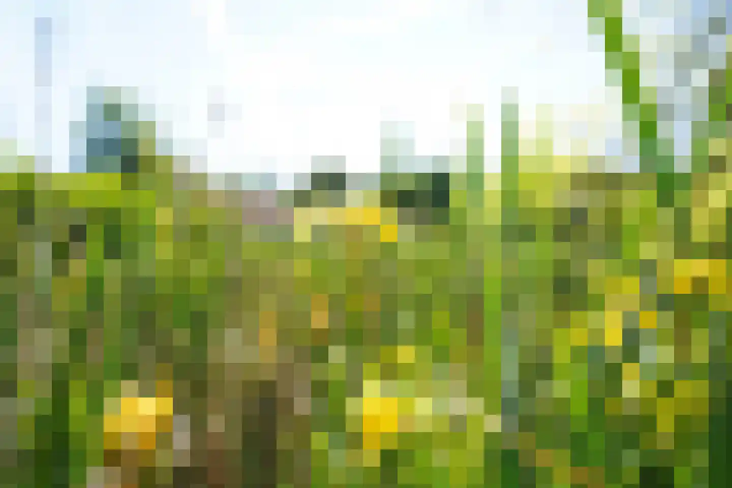 Hooge Riet 60 Ermelo thumbnail 89