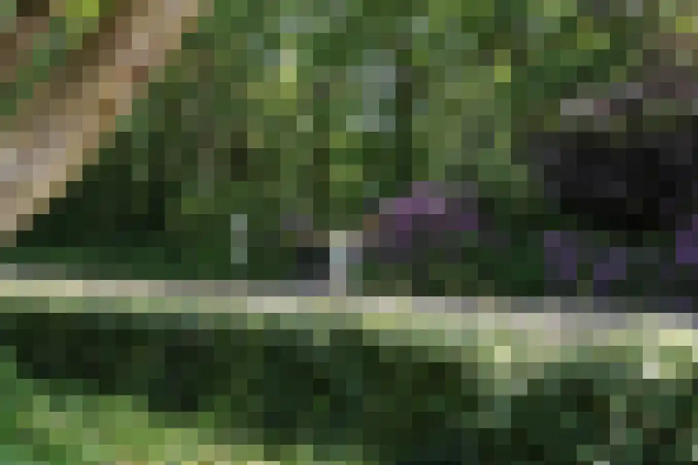 Hooge Riet 60 Ermelo thumbnail 93