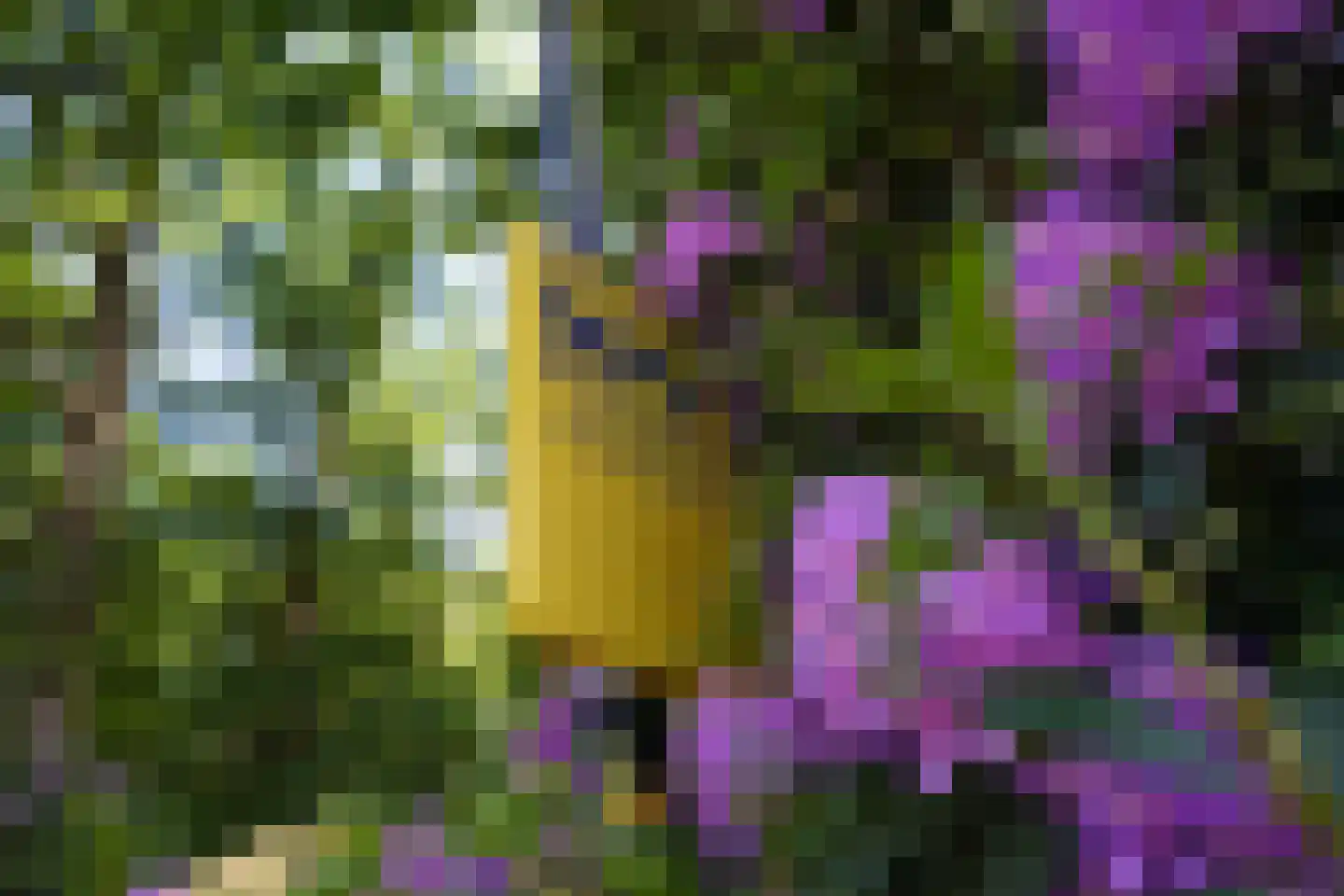 Hooge Riet 60 Ermelo thumbnail 94