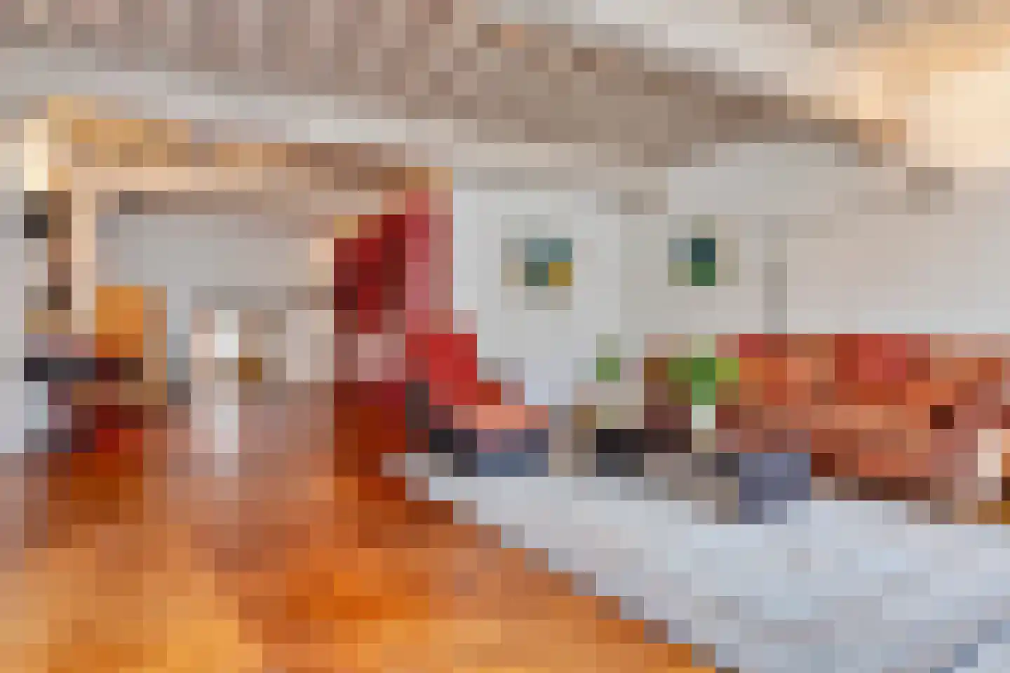 Hooge Steenweg 5 's-Hertogenbosch thumbnail 4
