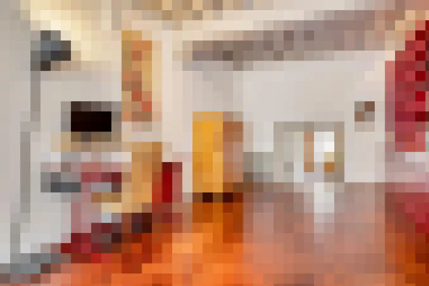 Hooge Steenweg 5 's-Hertogenbosch thumbnail 9