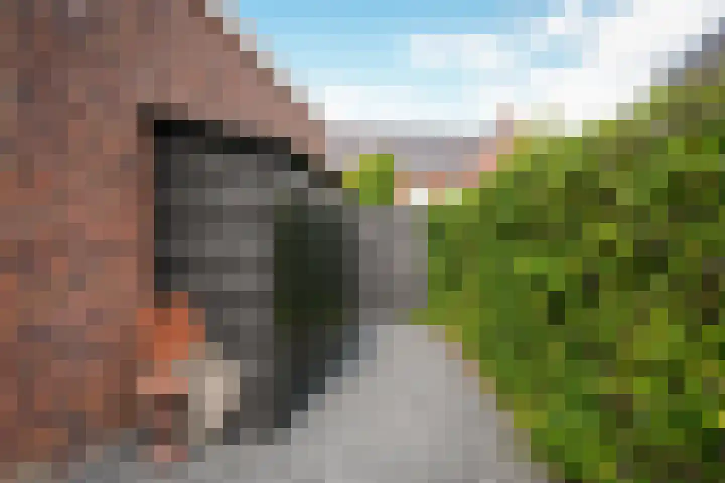 Hooge Veld 35 Rhenoy thumbnail 40