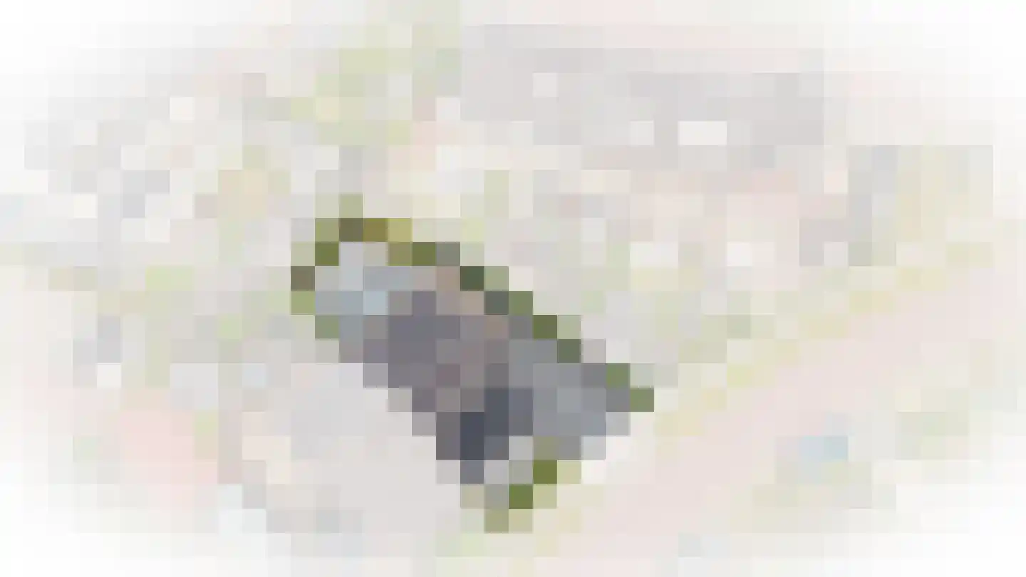Hooge Veld 35 Rhenoy thumbnail 9