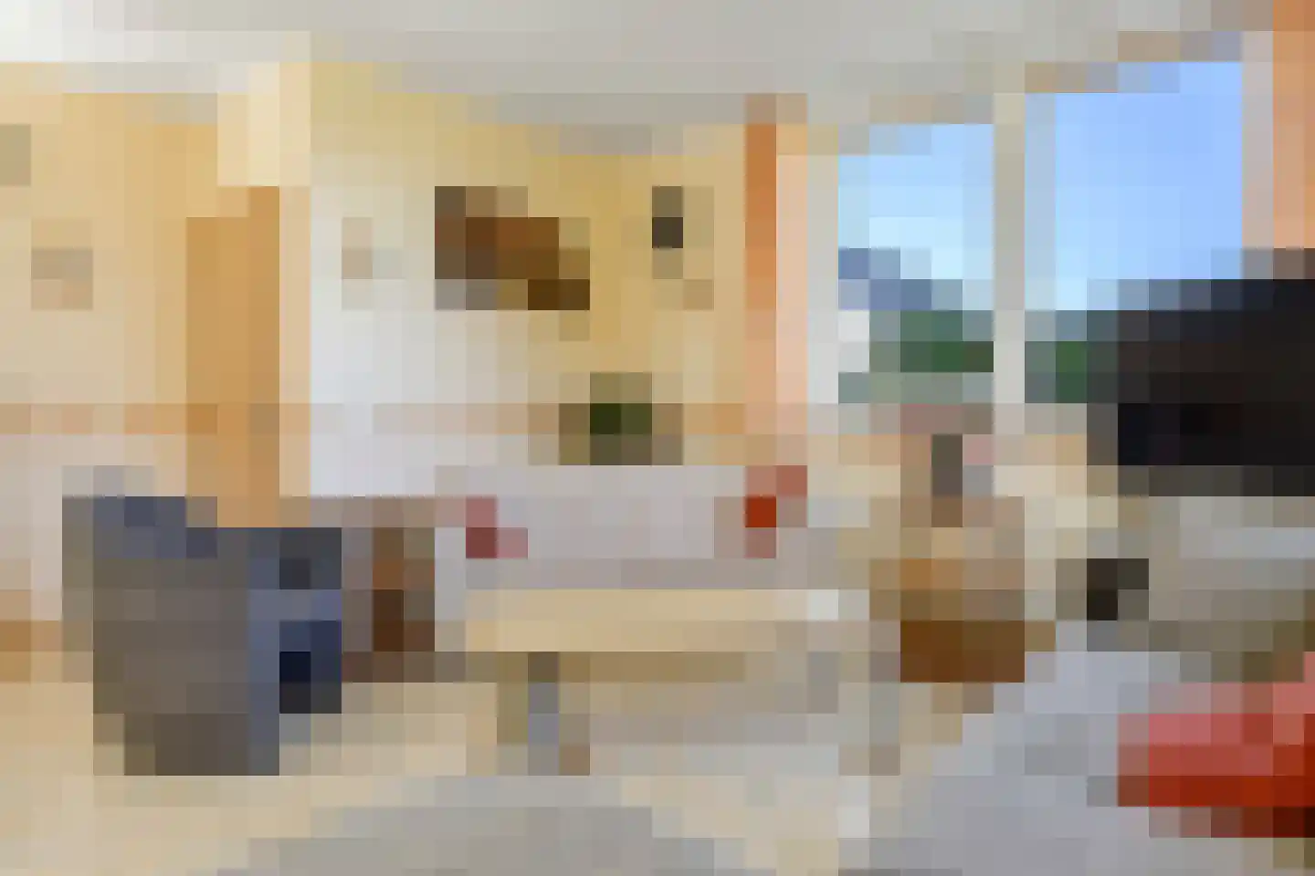 Hooge Weg 57 Hooge Zwaluwe thumbnail 17