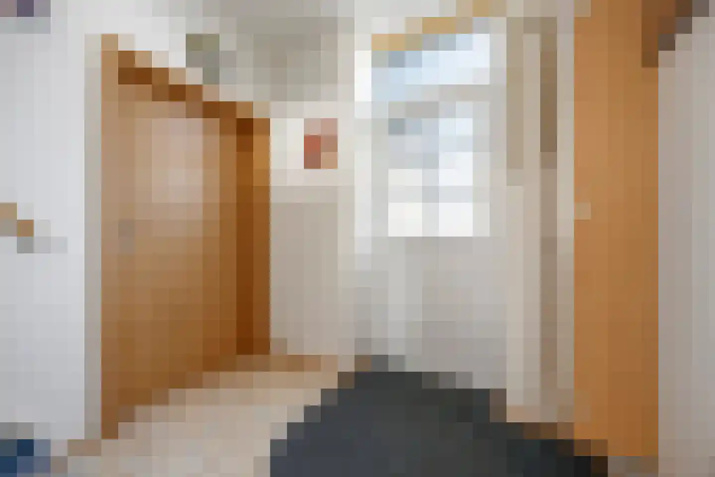Hooge Weg 57 Hooge Zwaluwe thumbnail 5