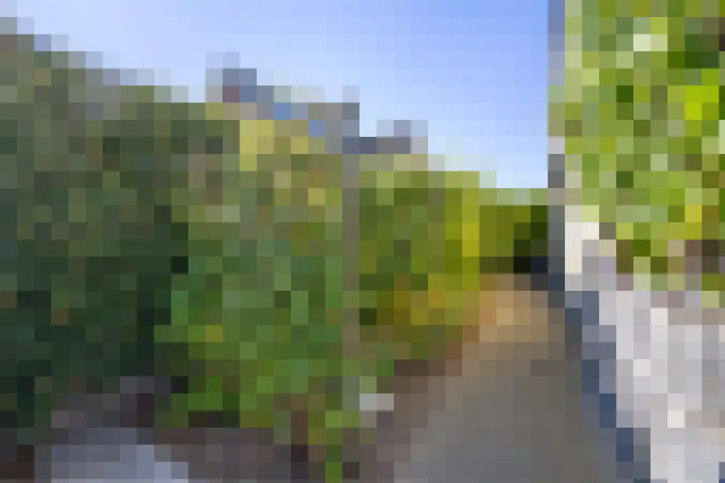 Hooge Weg 57 Hooge Zwaluwe thumbnail 51