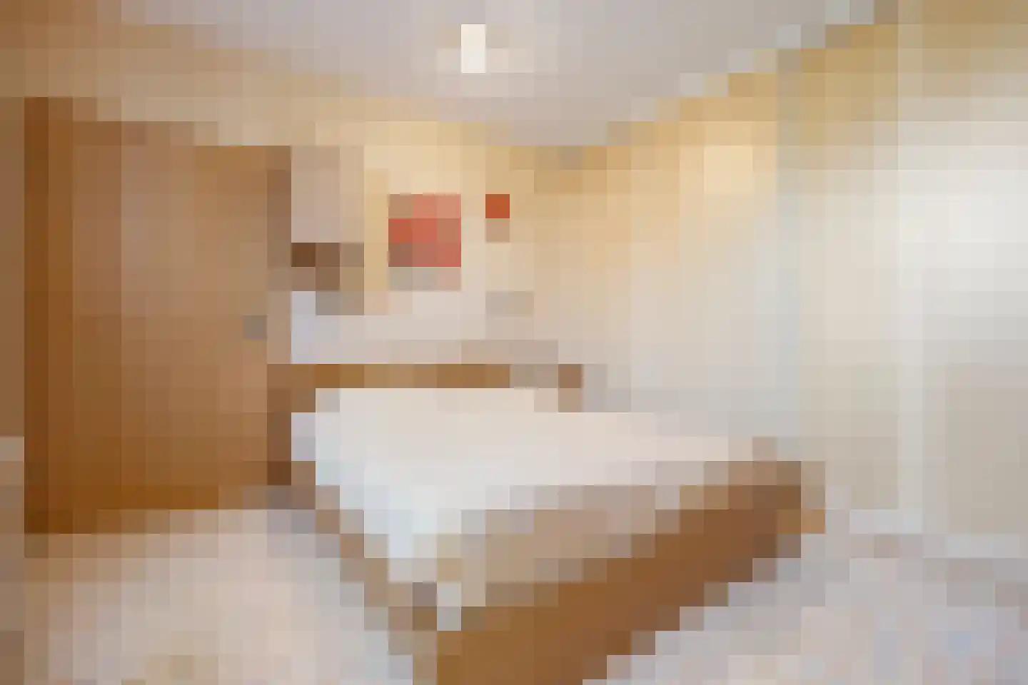 Hooge Weg 57 Hooge Zwaluwe thumbnail 7