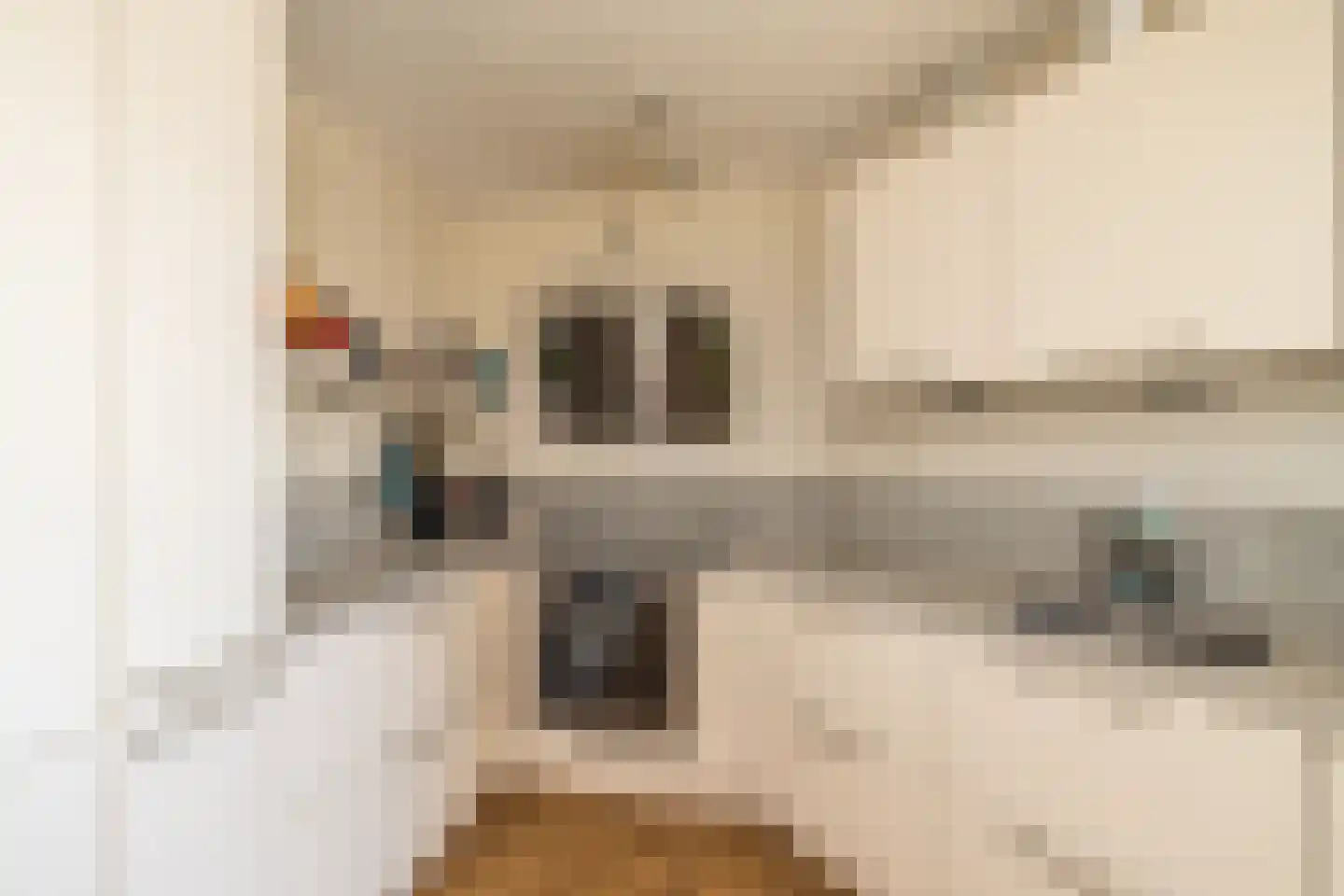 Hooge Werf 11 Hillegom thumbnail 22