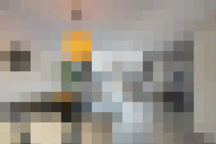 Hooge Werffe 10 Ursem thumbnail 11