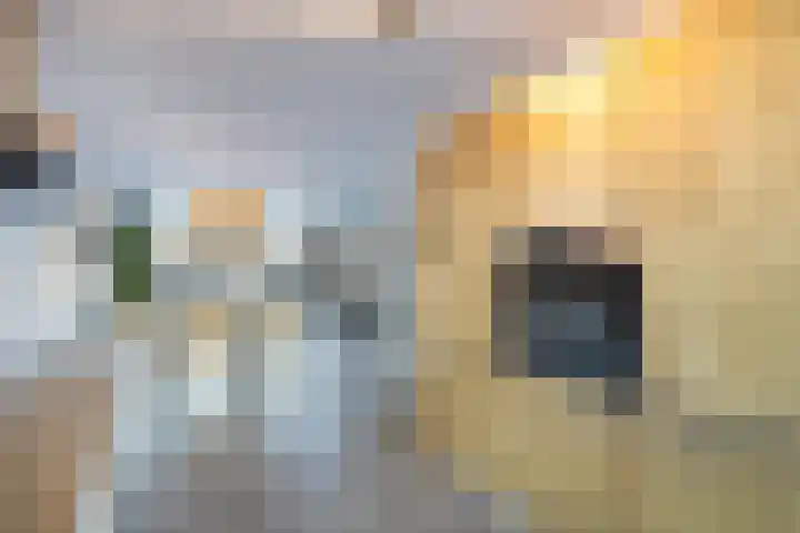 Hooge Werffe 10 Ursem thumbnail 13