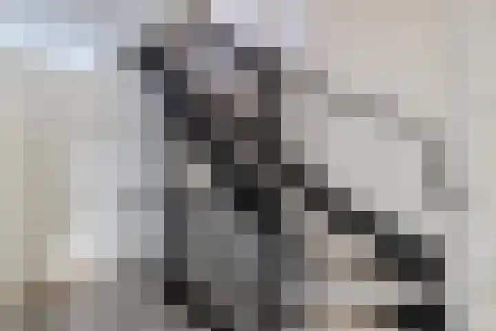 Hooge Werffe 10 Ursem thumbnail 15