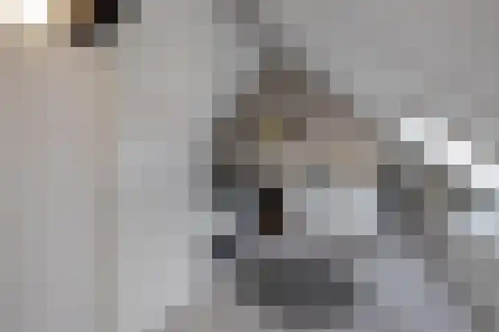 Hooge Werffe 10 Ursem thumbnail 24