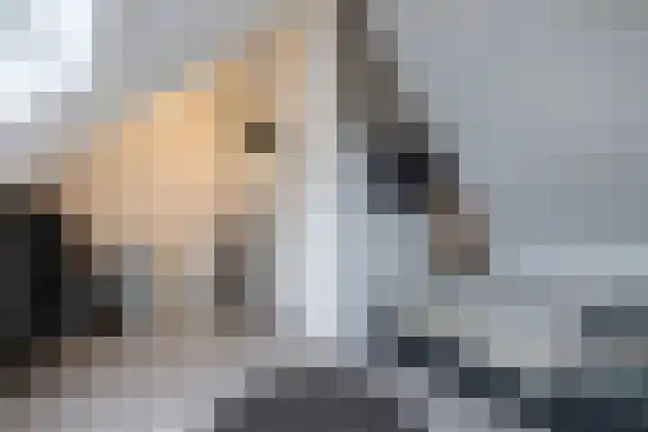 Hooge Werffe 10 Ursem thumbnail 25