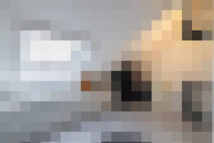 Hooge Werffe 10 Ursem thumbnail 26