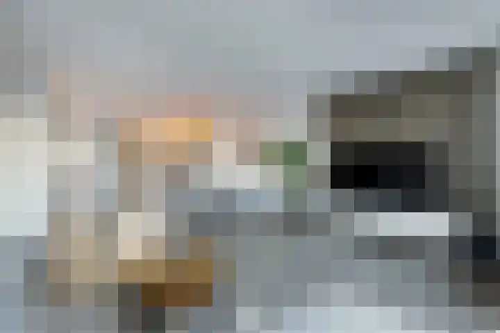 Hooge Werffe 10 Ursem thumbnail 4