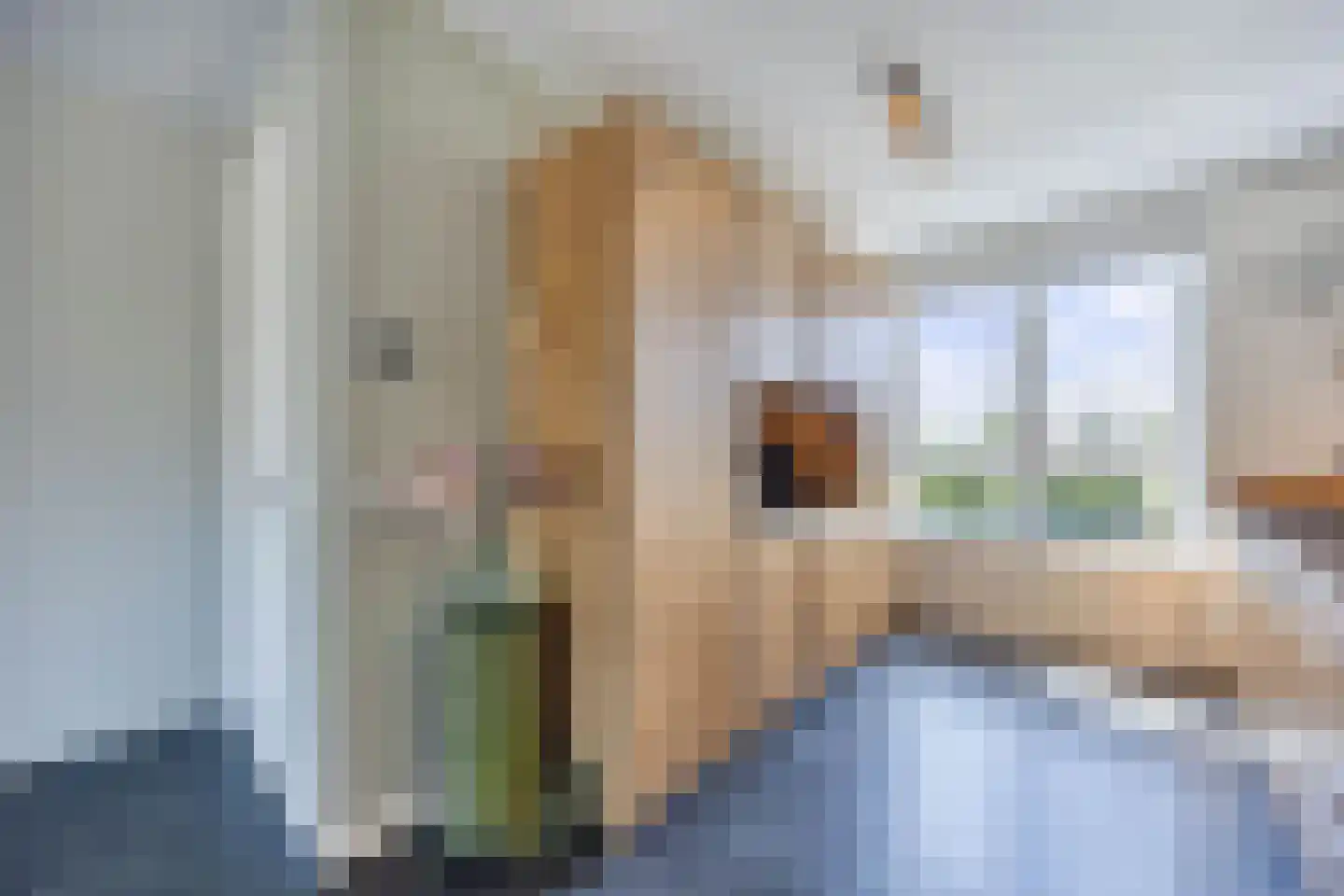 Hooge Werffe 4 Ursem thumbnail 21