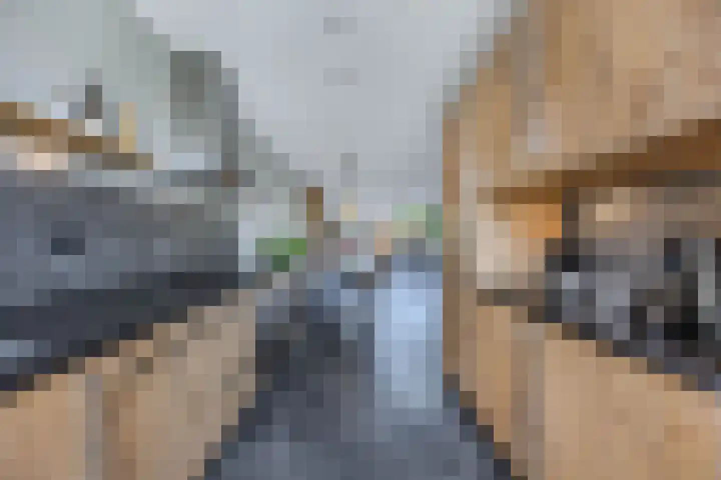 Hooge Werffe 4 Ursem thumbnail 25