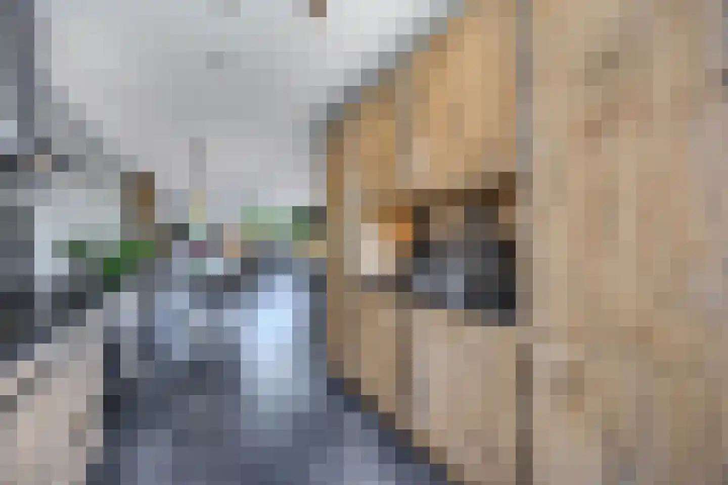 Hooge Werffe 4 Ursem thumbnail 26