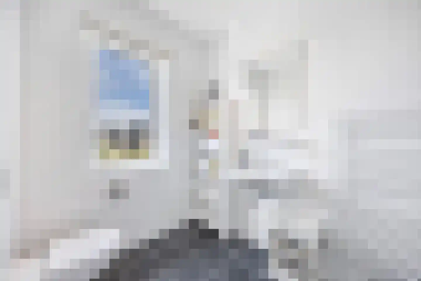 Hooge Werffe 4 Ursem thumbnail 35