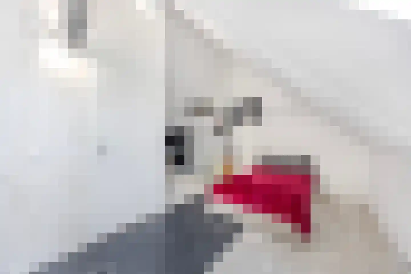 Hooge Werffe 4 Ursem thumbnail 38