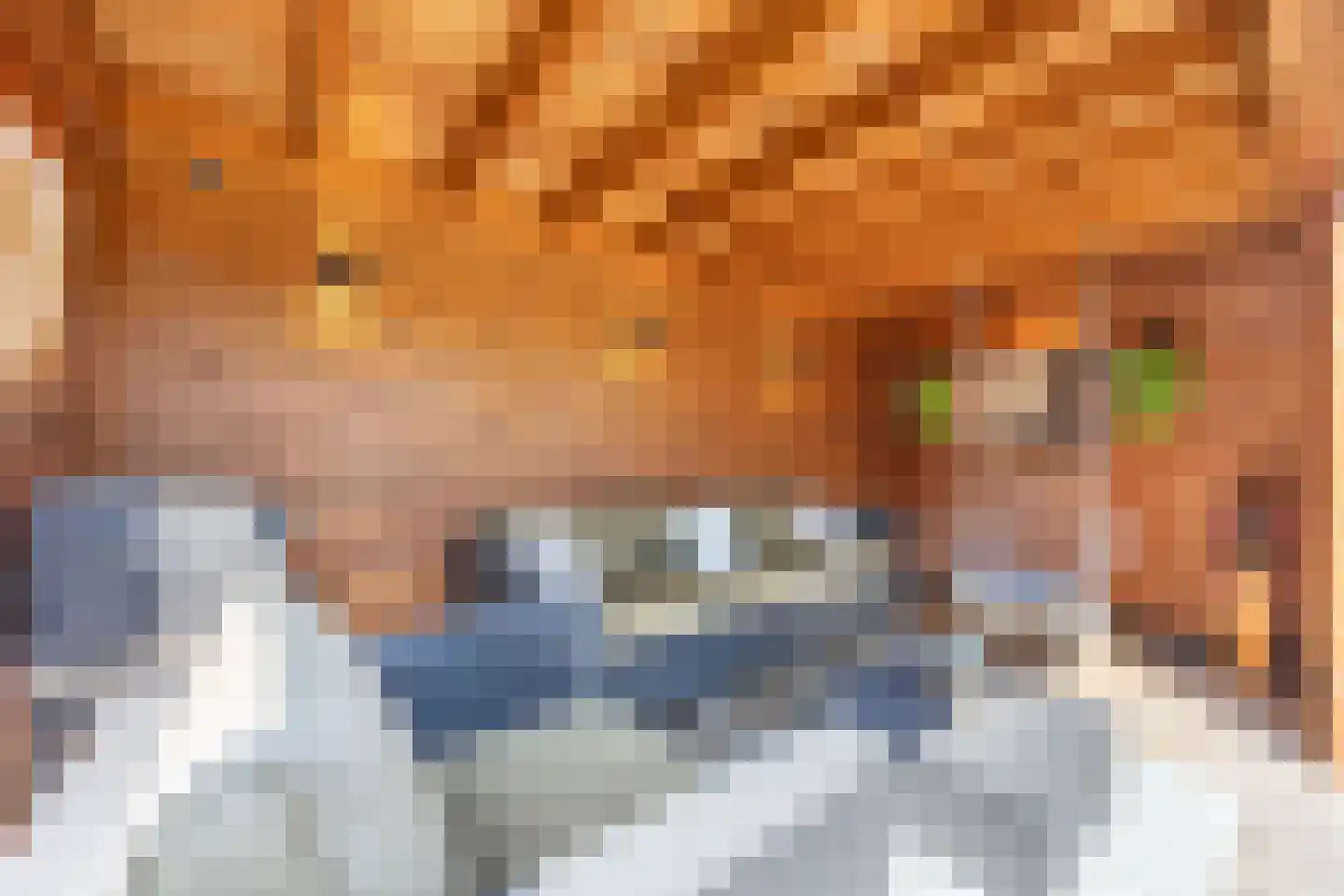 Hooge Werffe 4 Ursem thumbnail 45