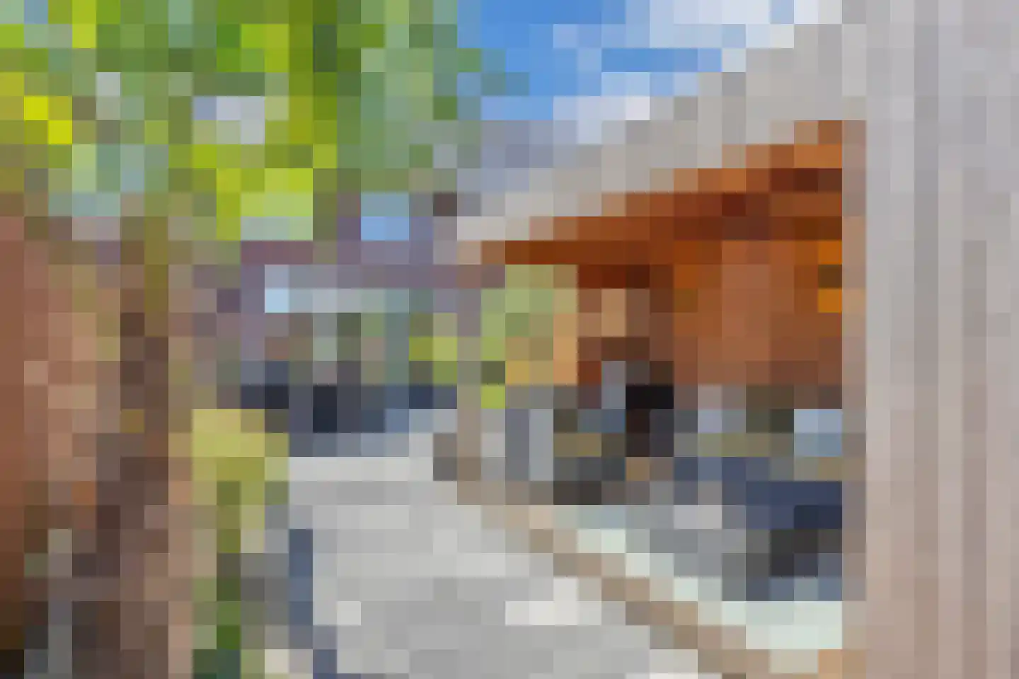 Hooge Werffe 4 Ursem thumbnail 47