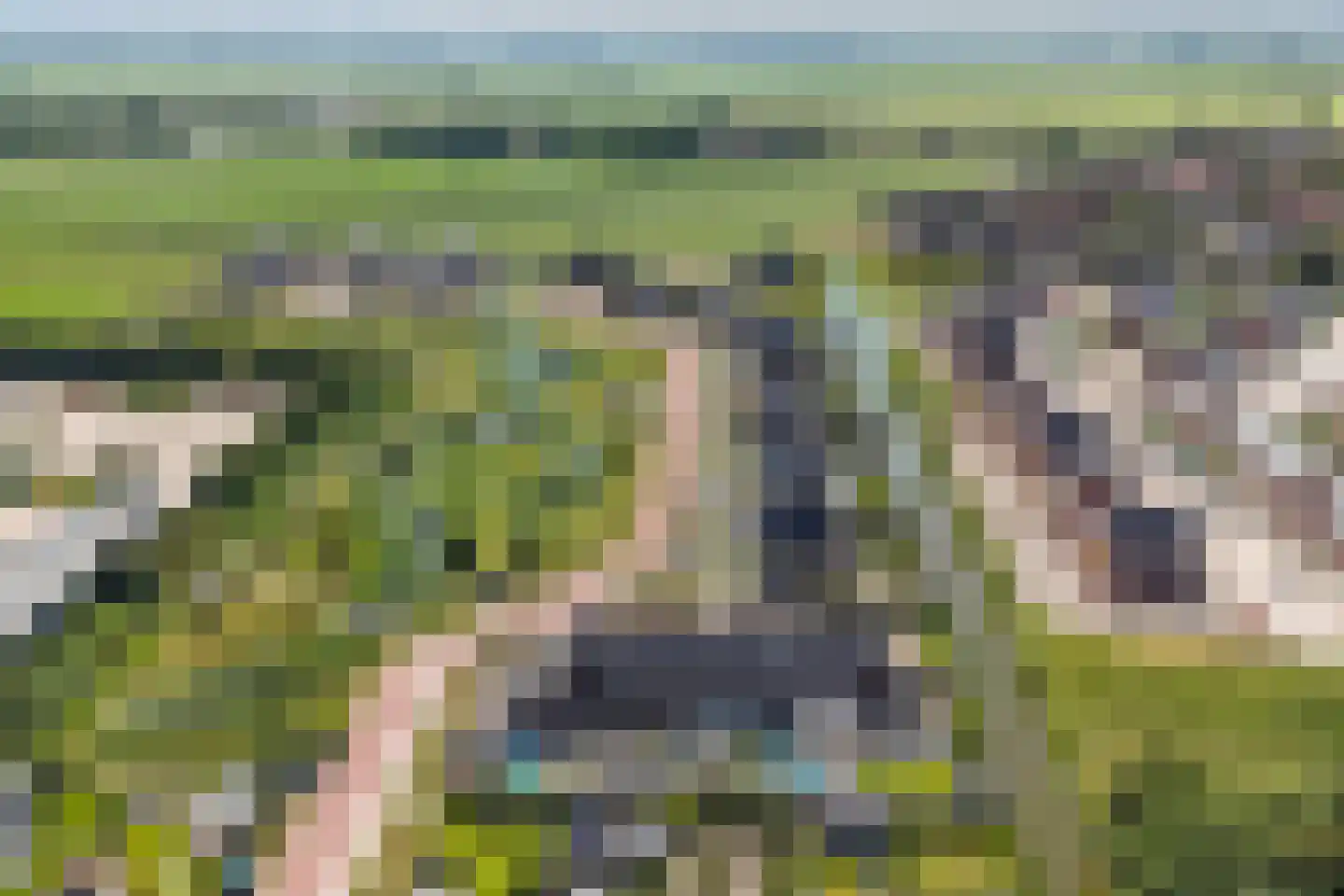 Hooge Werffe 4 Ursem thumbnail 52