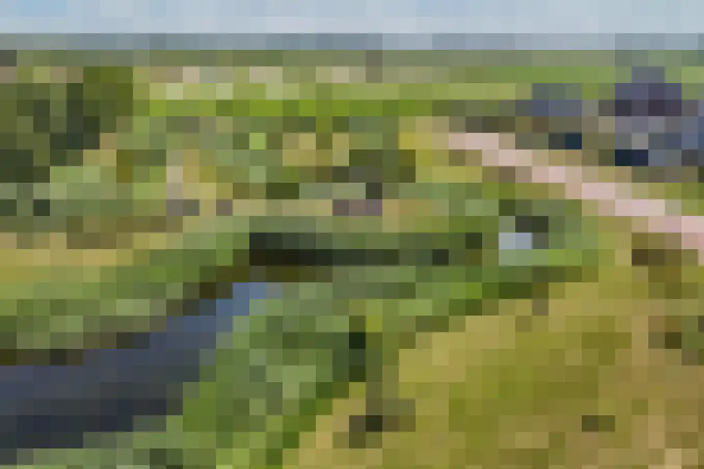 Hooge Werffe 4 Ursem thumbnail 53