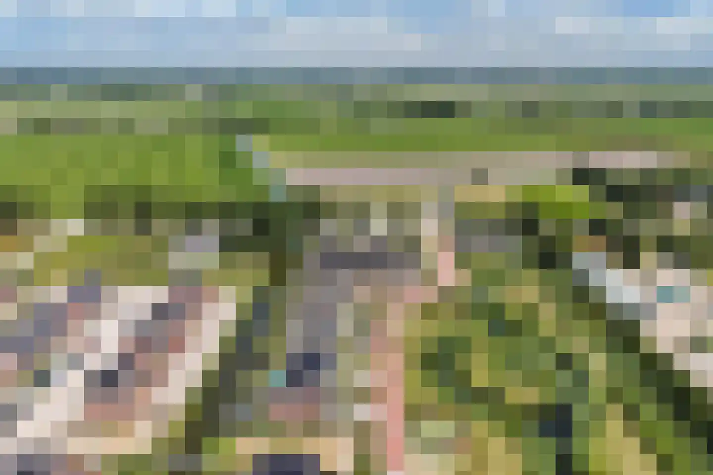 Hooge Werffe 4 Ursem thumbnail 54