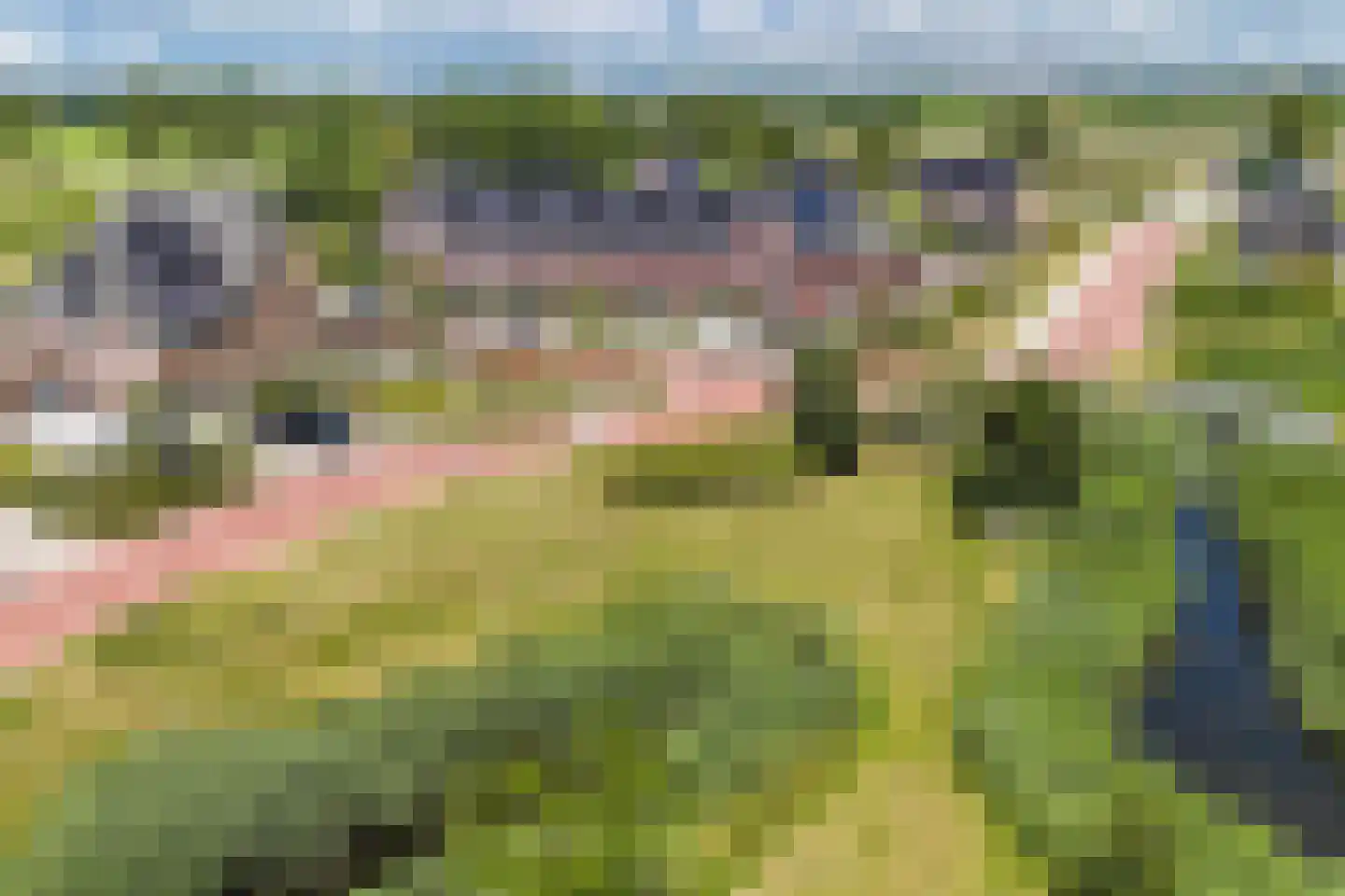Hooge Werffe 4 Ursem thumbnail 57