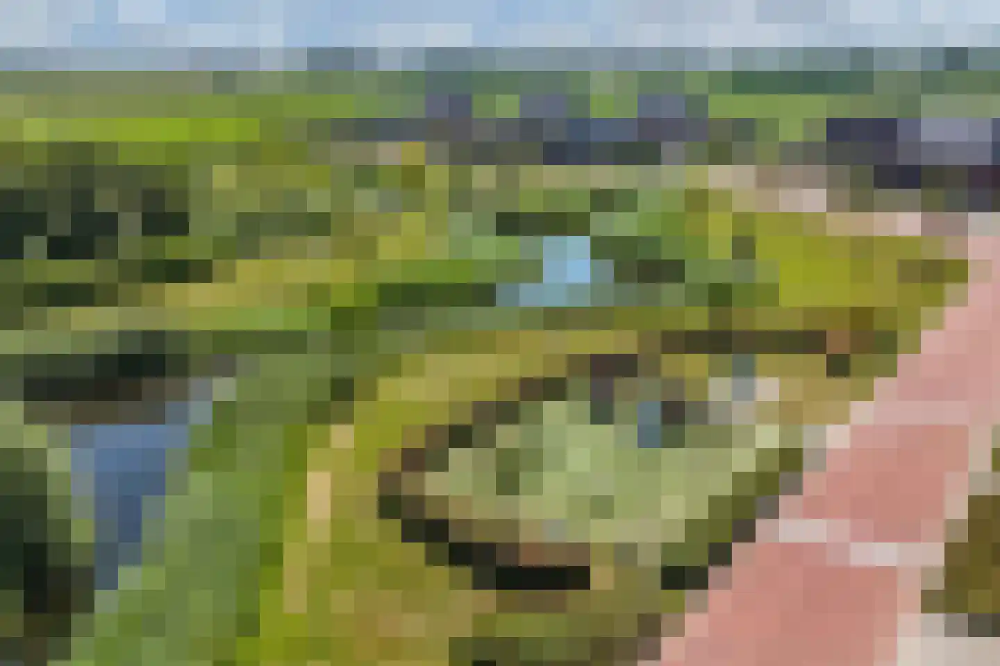 Hooge Werffe 4 Ursem thumbnail 59