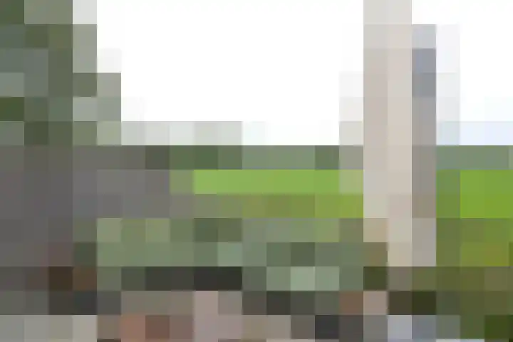 Hoogeboomstraat 59 Eemnes thumbnail 18