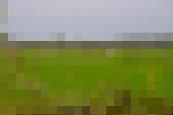 Hoogeboomstraat 59 Eemnes thumbnail 21