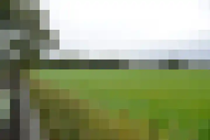 Hoogeboomstraat 59 Eemnes thumbnail 22