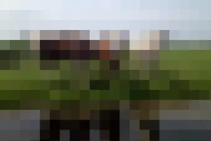 Hoogedijk 60 Katwoude thumbnail 32