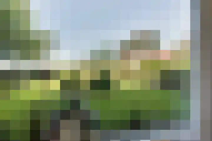 Hoogegeest 28 Akersloot thumbnail 12