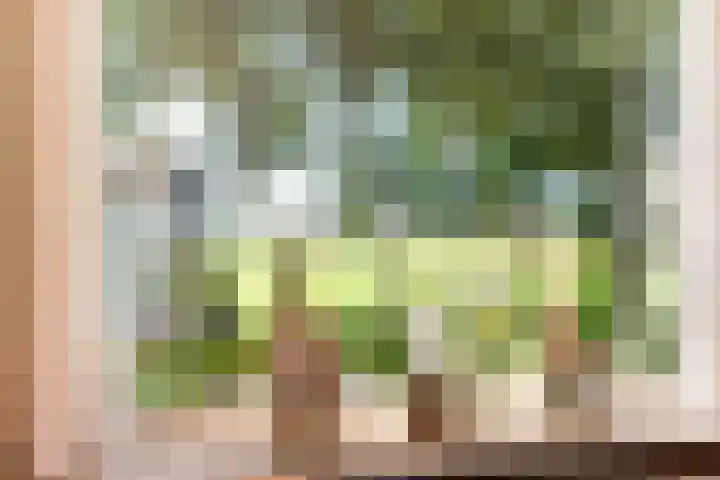 Hoogegeest 28 Akersloot thumbnail 15