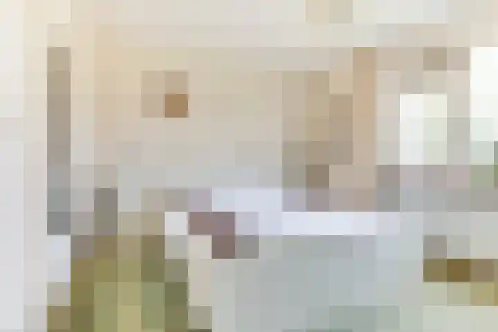 Hoogegeest 28 Akersloot thumbnail 22