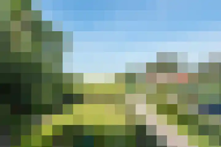 Hoogegeest 28 Akersloot thumbnail 24