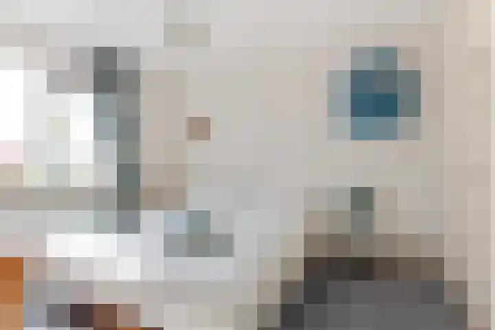Hoogegeest 28 Akersloot thumbnail 25