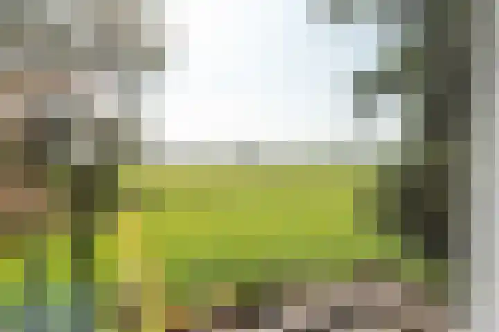 Hoogegeest 28 Akersloot thumbnail 27
