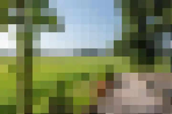 Hoogegeest 28 Akersloot thumbnail 36